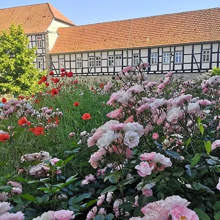 Privatunterkunft Künstler&architektenhaus Mit Tollen Möglichkeiten *
